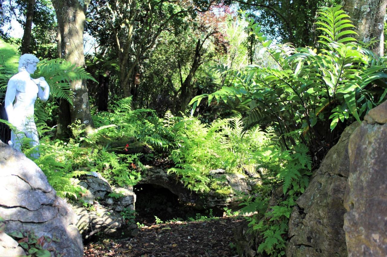 Labyrinth Gardens Guest House Takaka Extérieur photo