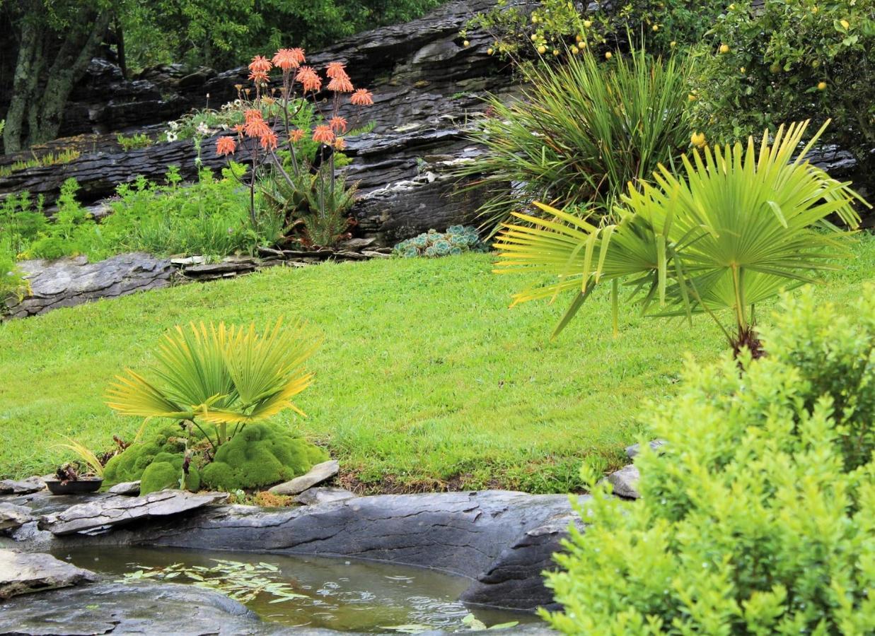 Labyrinth Gardens Guest House Takaka Extérieur photo